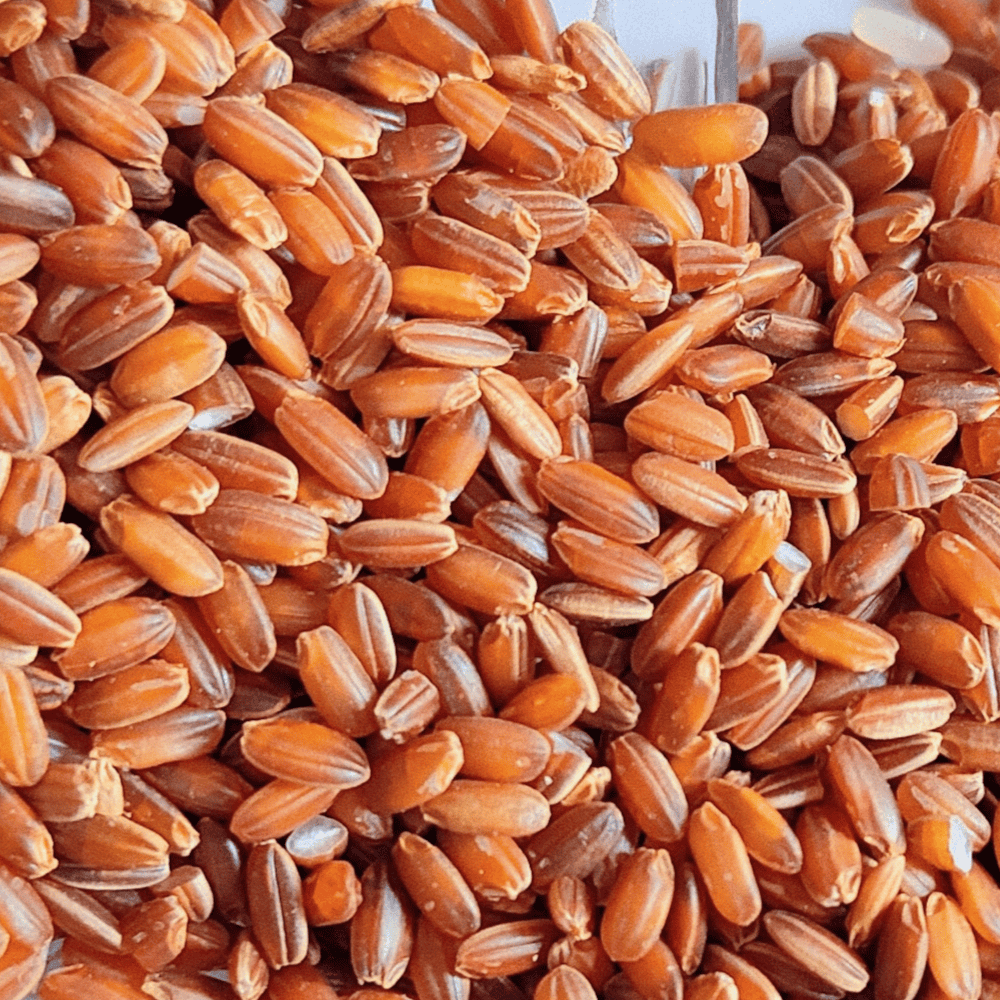 Navaara Arisi - Image 2