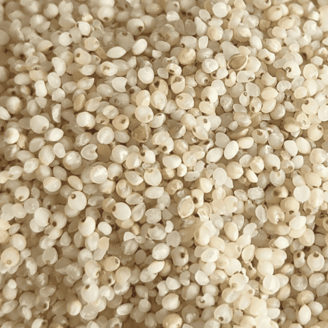 Pulungal Kudhiraivali