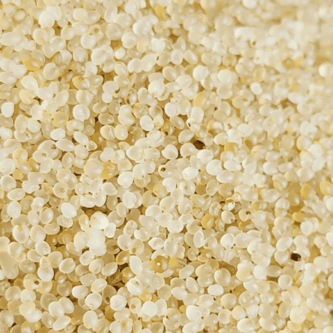 Pulungal Samai Arisi